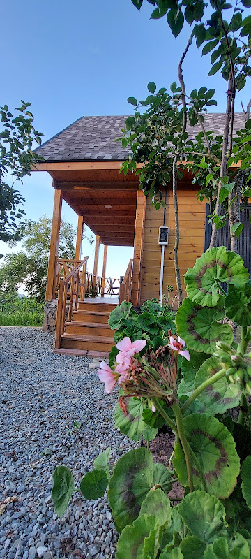 Trabzon Çamlıca Bungalov