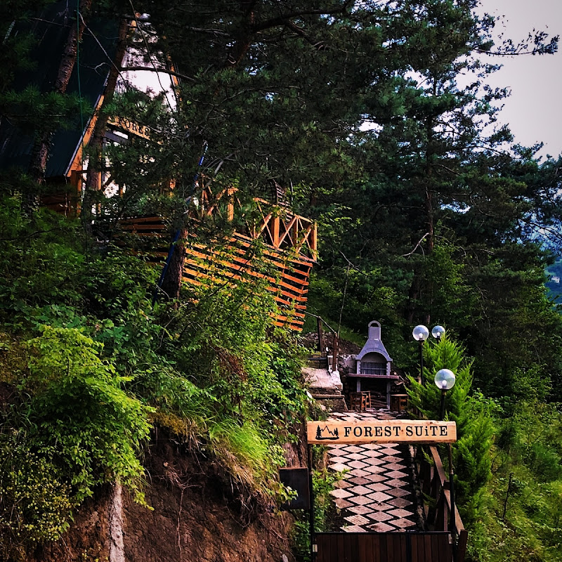 Forest Suite Bungalov