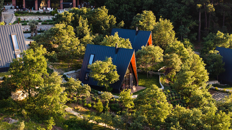 Eva Lavanda Kazdağları