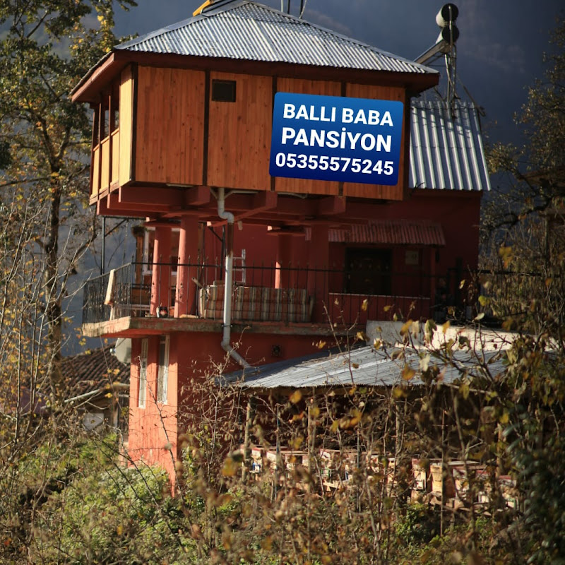 Ballı Baba Pansiyon Günlük Ücret (5000tl)