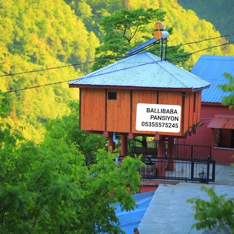 Ballı Baba Pansiyon Günlük Ücret (5000tl)