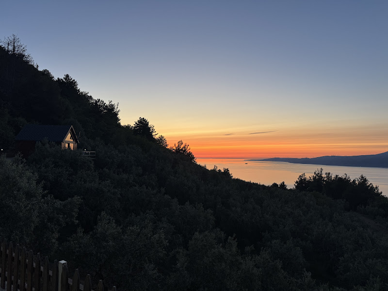 Zeytin Bungalov&Organizasyon