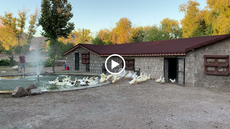 SUNOLUS VINEYARD HOUSE