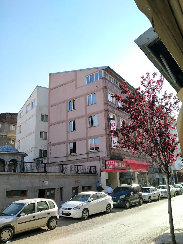 Arı Otel