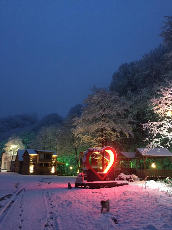 Trabzon Hamsiköy Bungalov