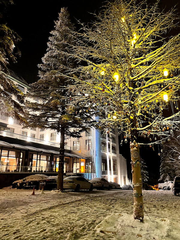 Çam Thermal Resort & Spa Hotel