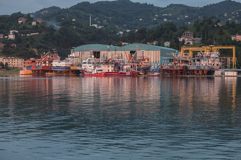 Hancıoğlu Çamburnu Orman Evleri & Otel