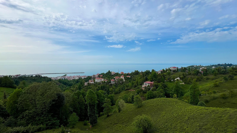 Rize Mavera Bungalov