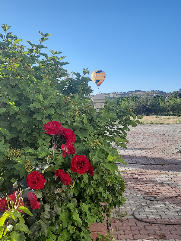 Salda Apart&Pansiyon