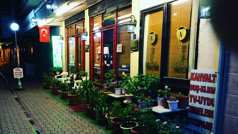 Hotel Necmi
